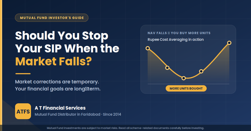 What Should You Do When the Stock Market Falls? A Mutual Fund Investor's Guide