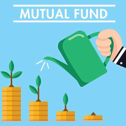 Mutual Fund Selection and Return